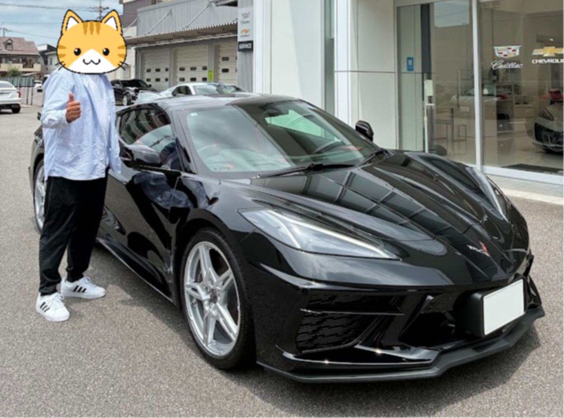 ブログ画像
