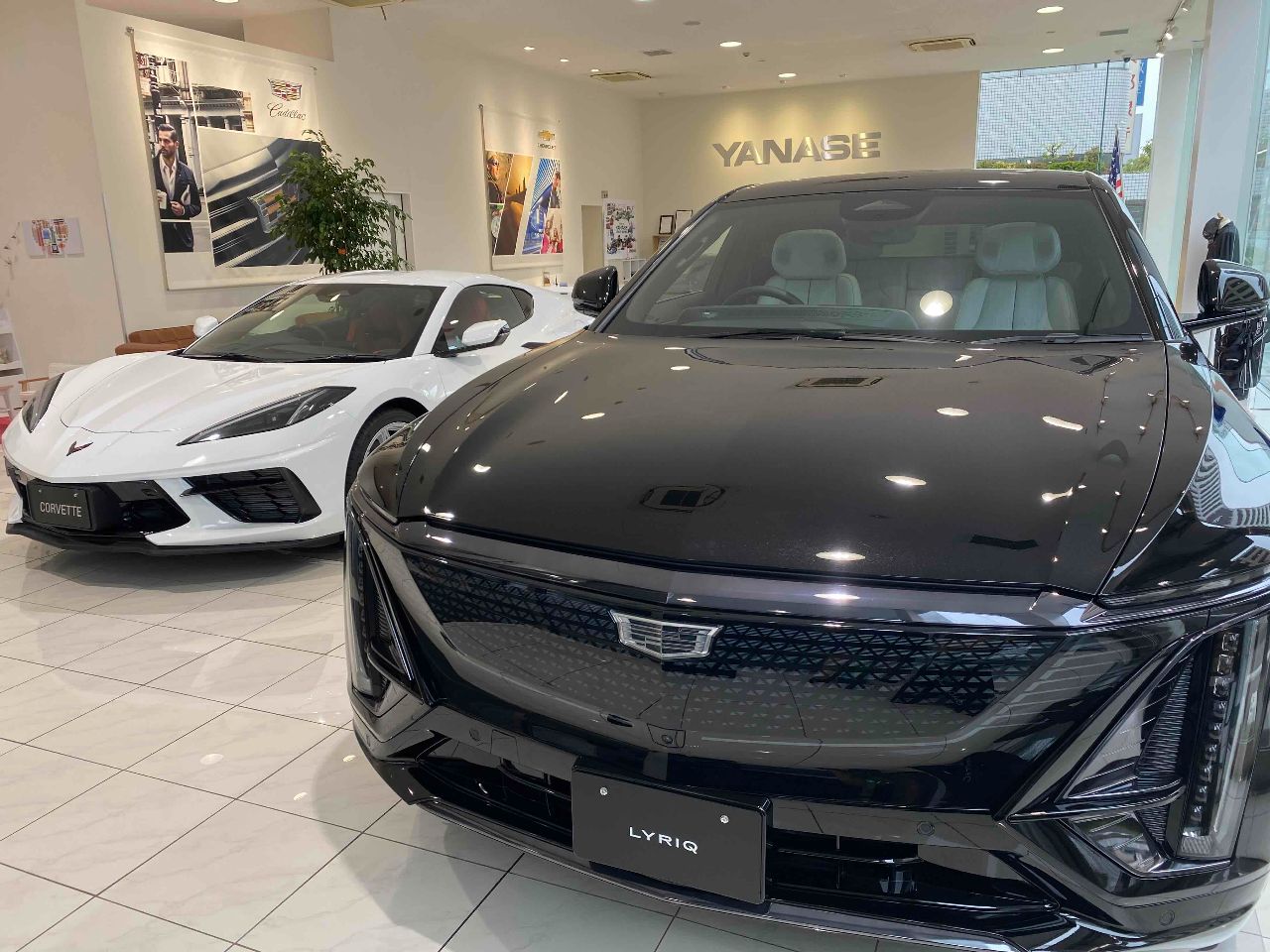 ショールーム店舗写真