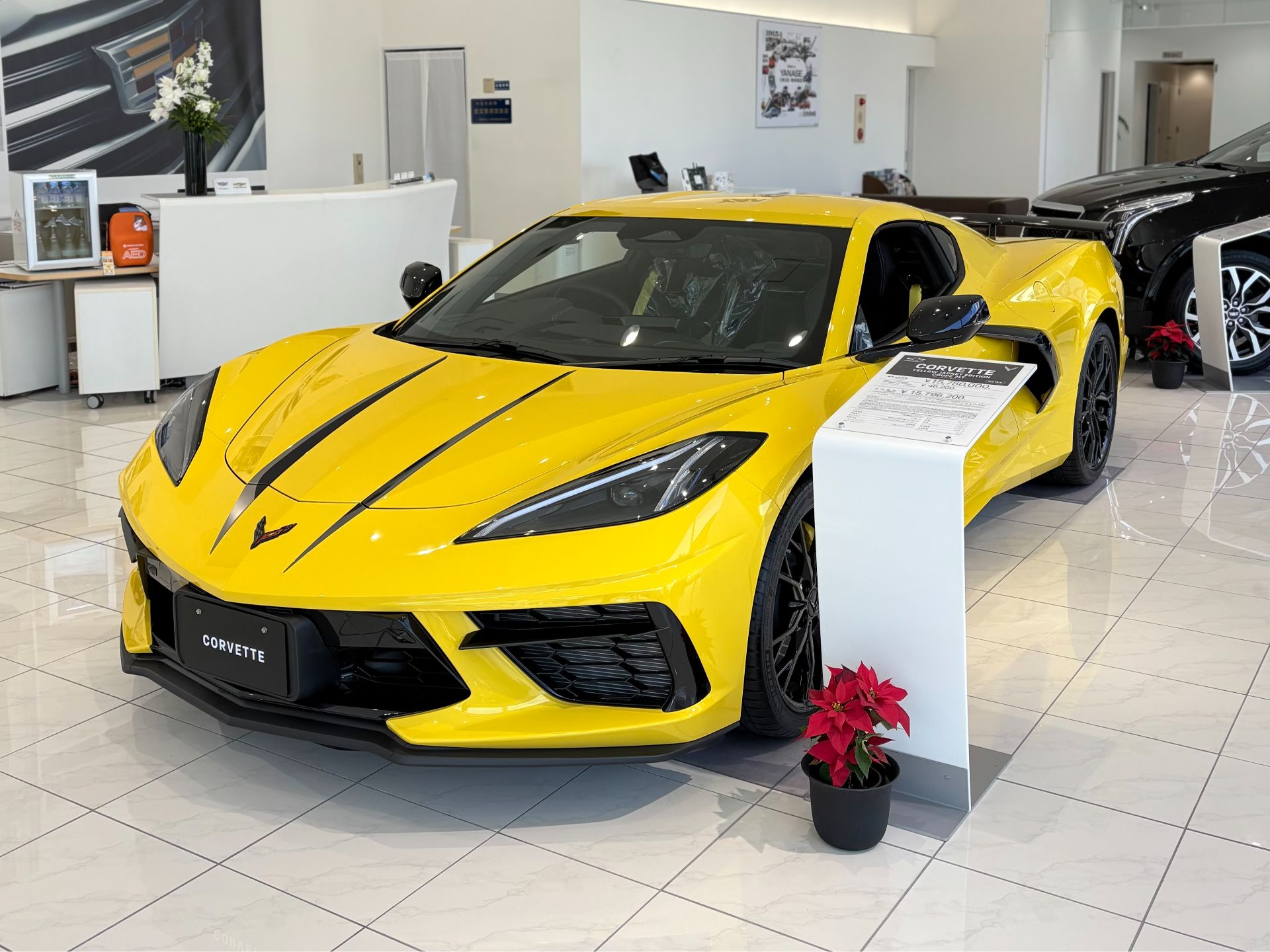 限定車“YELLOW JACKET EDITION”クーペ2LT展示しました