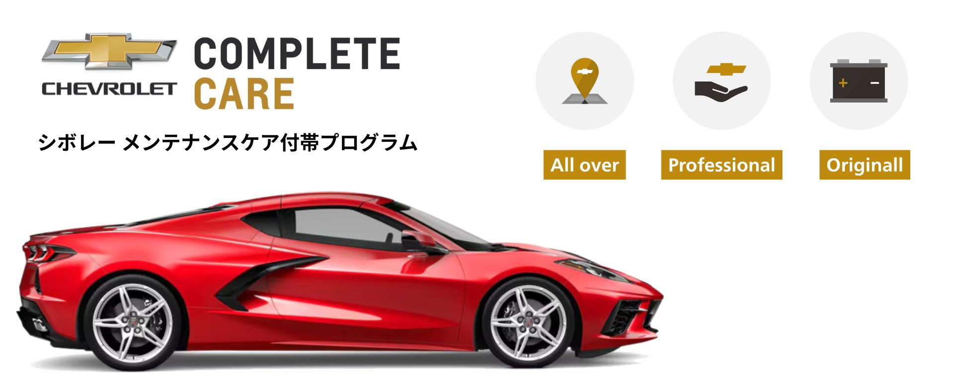 新着ニュース画像