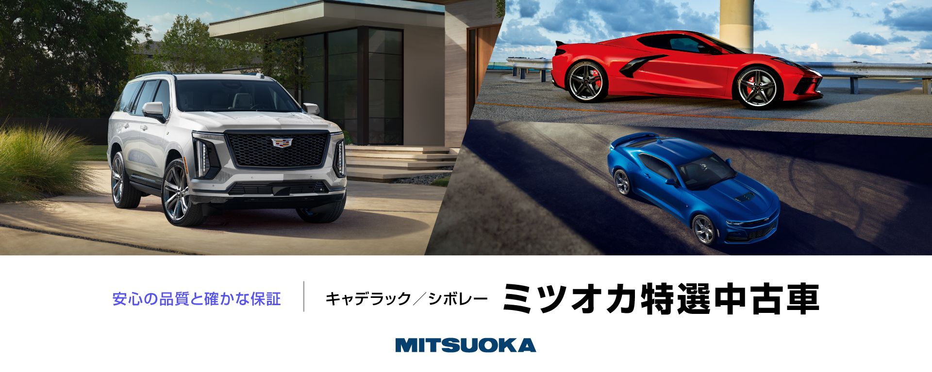 ニュース画像