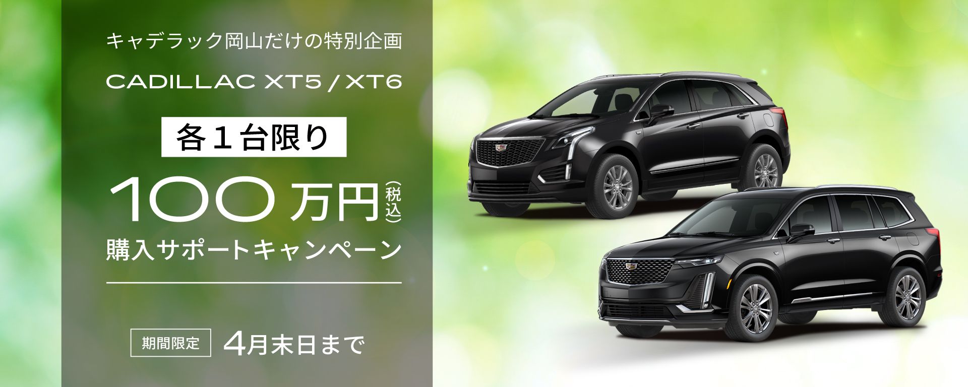 新着ニュース画像
