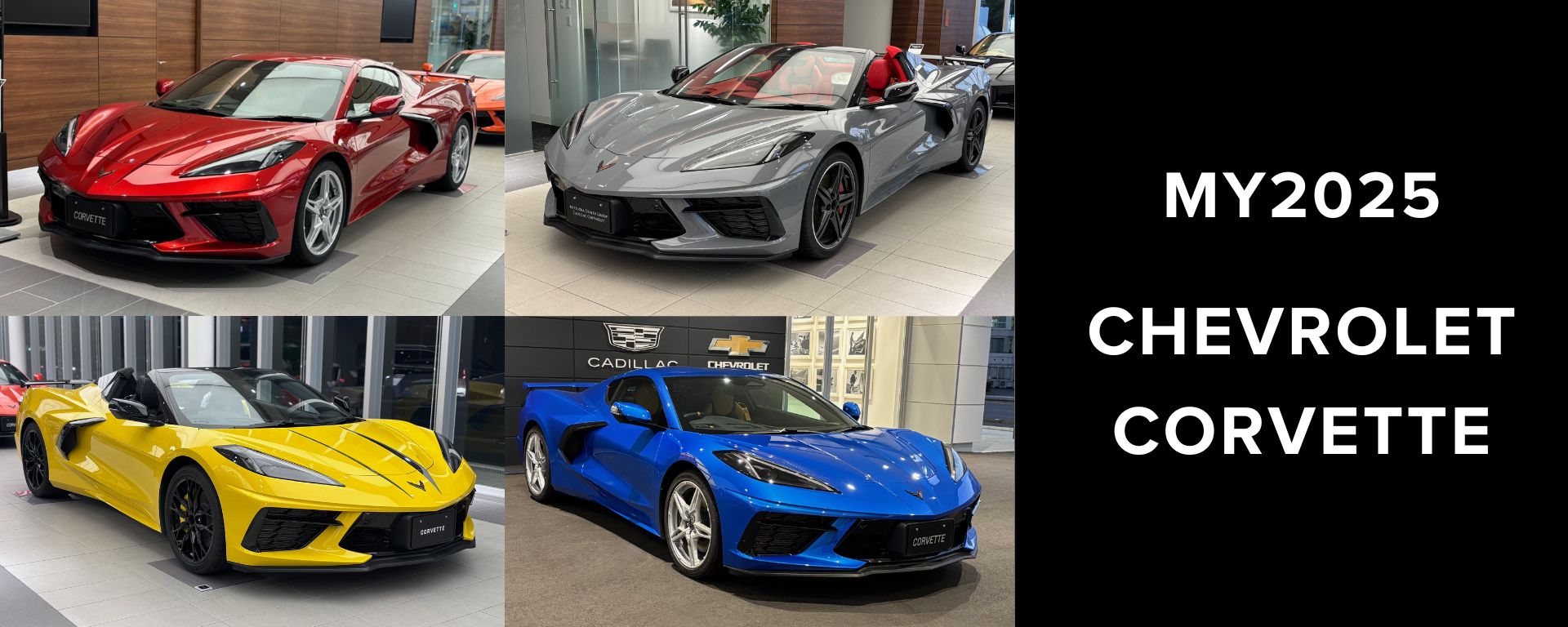 新着ニュース画像