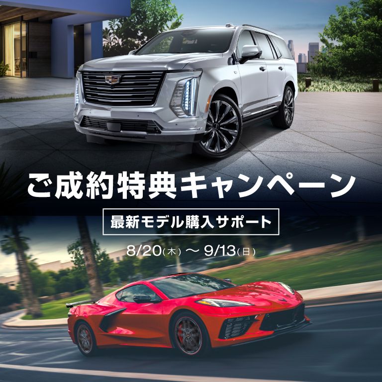 ニュース画像