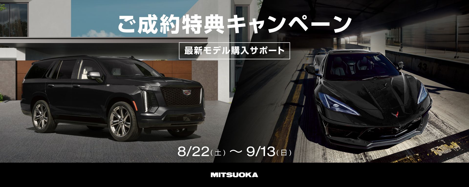 ニュース画像