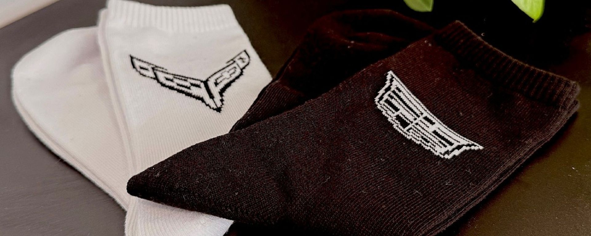 新着ニュース画像