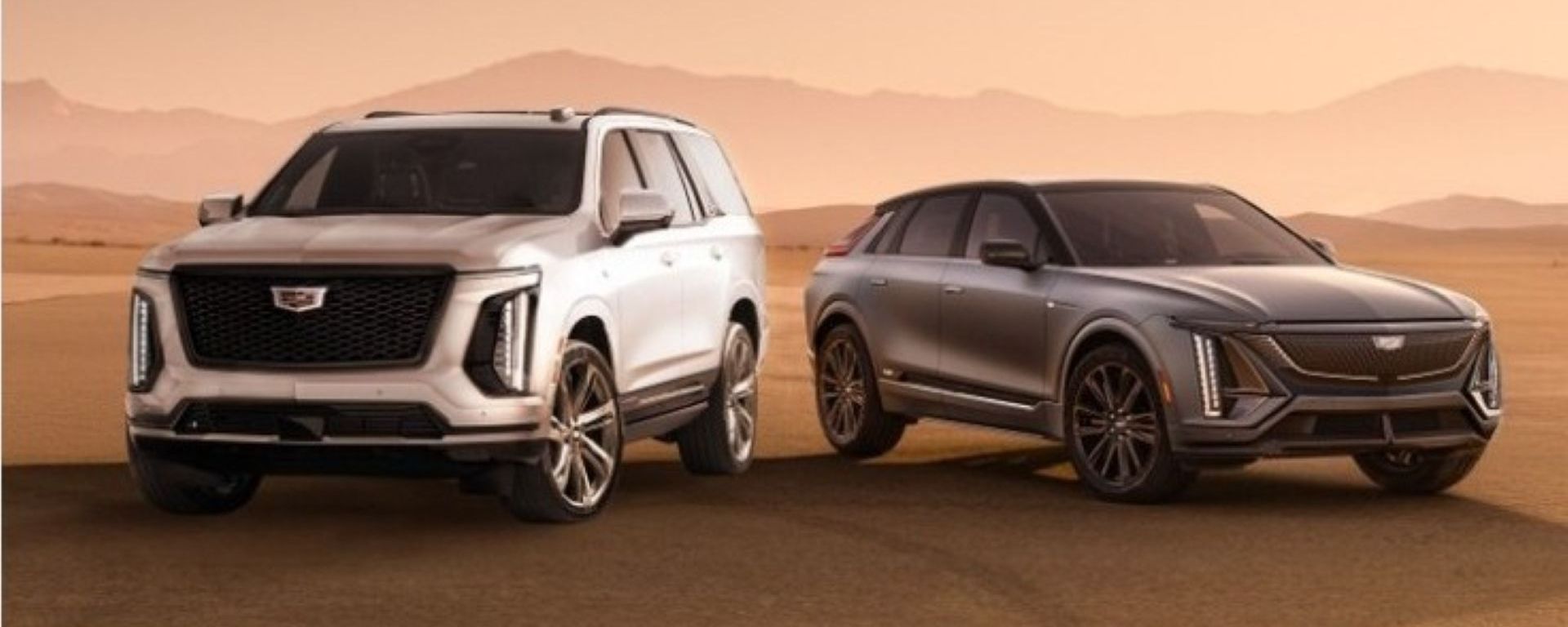 新着ニュース画像