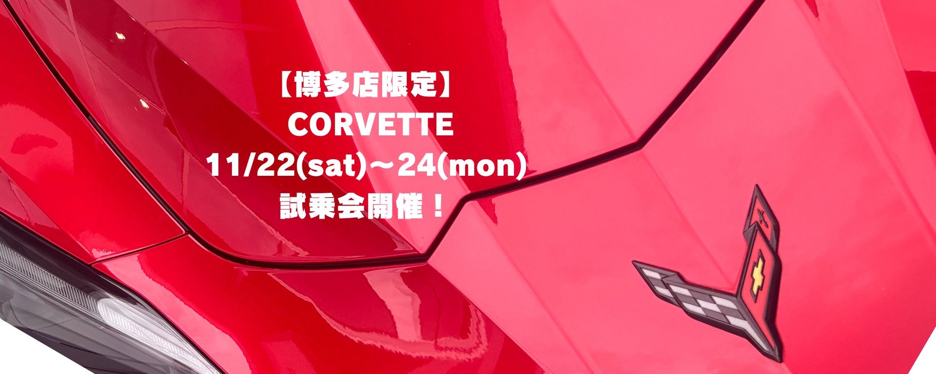 新着ニュース画像