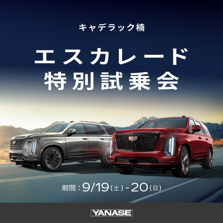 ニュース画像