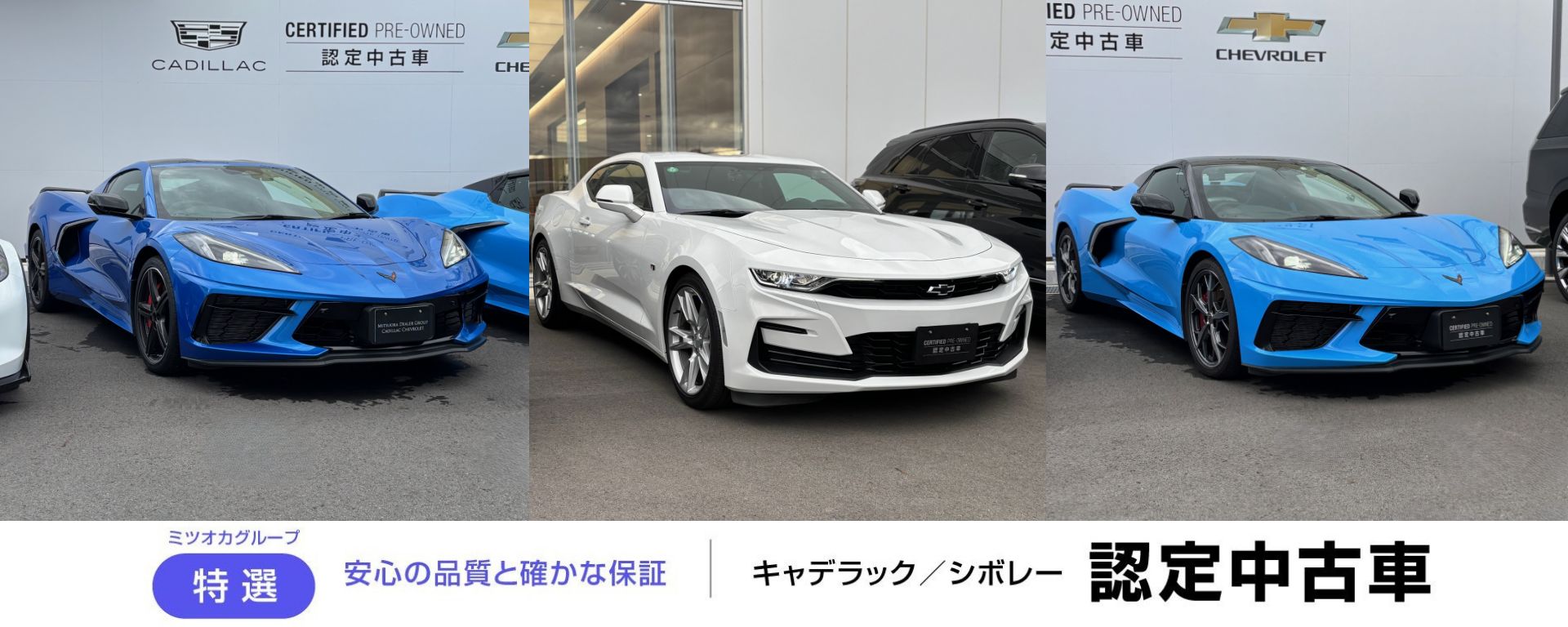 新着ニュース画像