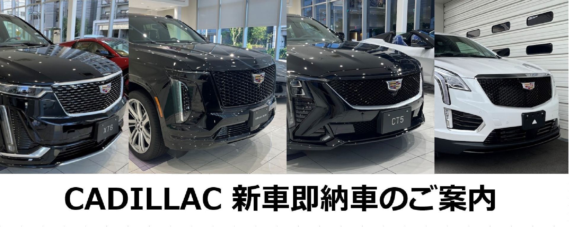 CADILLAC 新車即納車のご紹介 | キャデラック桜山／シボレー桜山